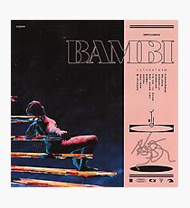 hippo campus bambi Photographic Print