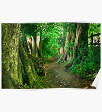 Path to the fairytales Poster