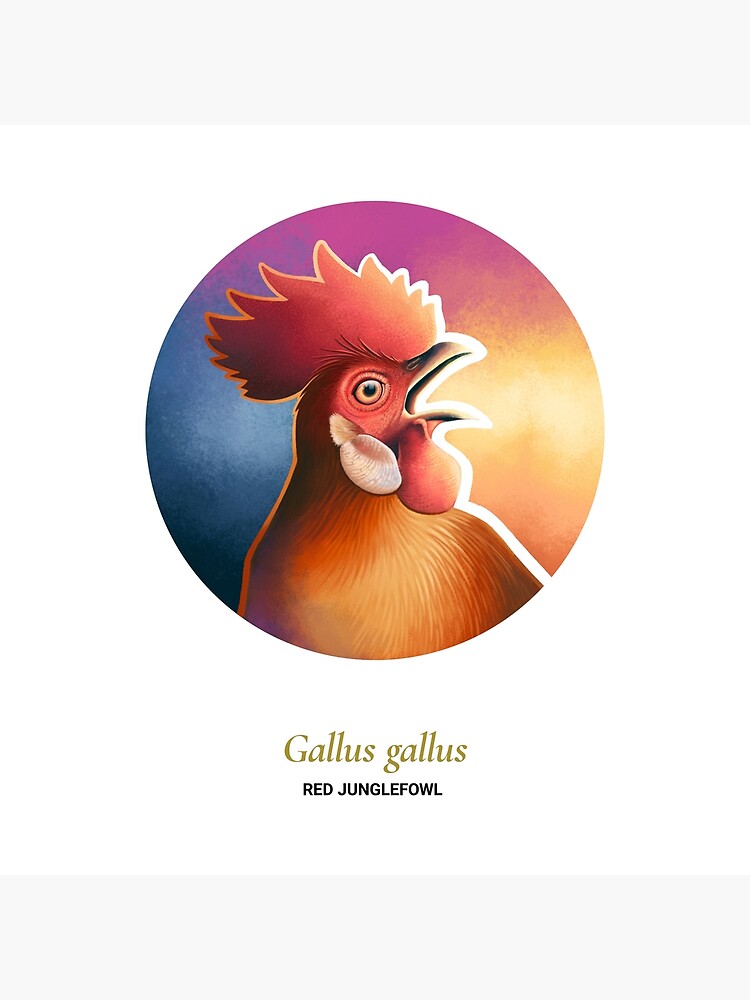 The Circles of Life: Red Junglefowl by franzanth
