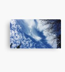 Looking up Canvas Print