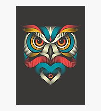 Sowl Photographic Print