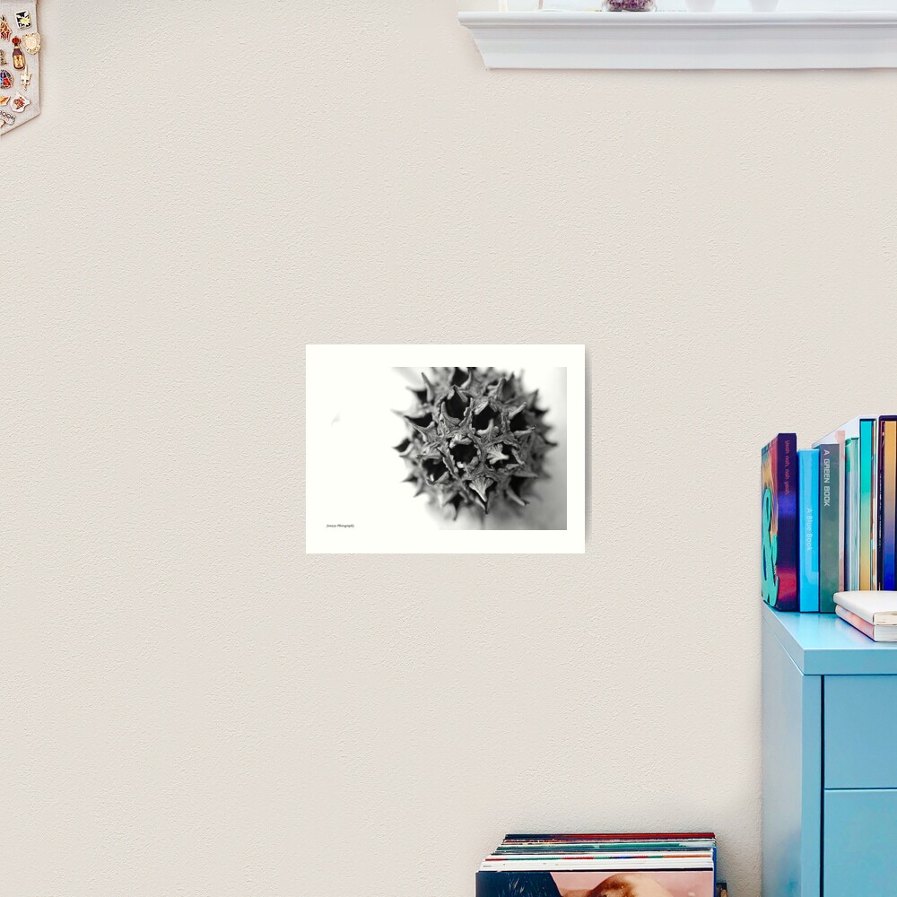 Sweet Gum Ball Art Print