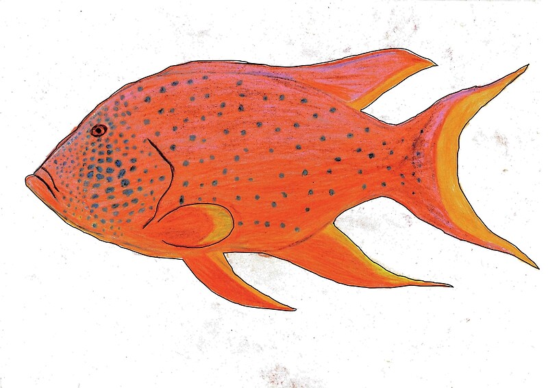 Рыбы рисунок 3 класс. Рыба рисунок. Нарисовать рыбу. Красная рыба рисунок. Рыбка 1 класс.