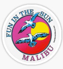 BRANDY MELVILLE FUN IN THE SUN MALIBU STICKER Sticker