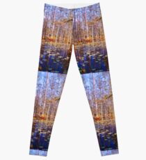 Swamp Scene Leggings