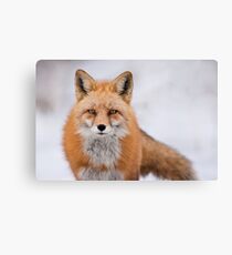 Facing Canvas Print