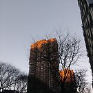 #NewYorkCity #NYC #NewYork #NY #Manhattan #skyscraper #tower #tree #architecture #outdoors #city #sky #environment #vertical #colorimage #nopeople #builtstructure #day #lightnaturalphenomenon #modern by znamenski