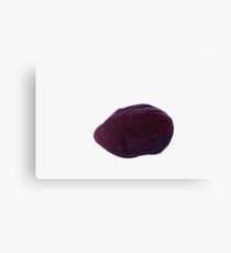DARK BLUE CHEESECUTTER Canvas Print
