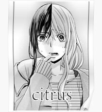 Póster Cítricos - Yuzu y Mei