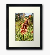 Fire Poker Framed Print