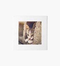 Innocent Eyes Art Board