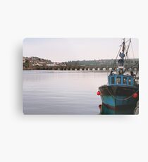 Bruno at Bideford Metal Print