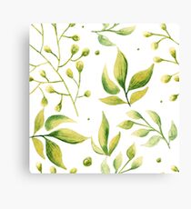 Herbaceous greens watercolor Canvas Print