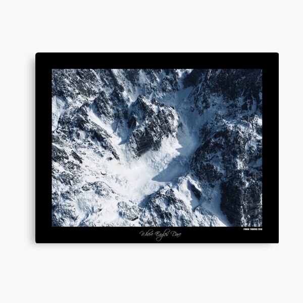 Where Eagles Dare Canvas Print