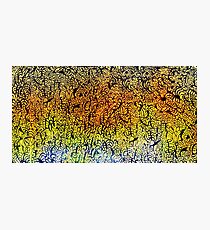 Undersea design. Photographic Print