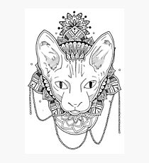 Lámina fotográfica Gato Mandala