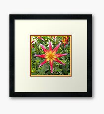 Spike Framed Print