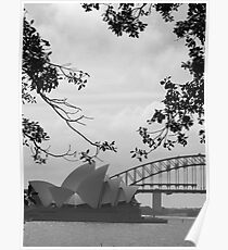 Sydneysiders Poster
