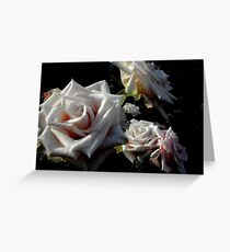 Blushing Roses Greeting Card