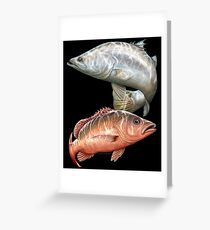 Barra Jack Billabong Boys Greeting Card