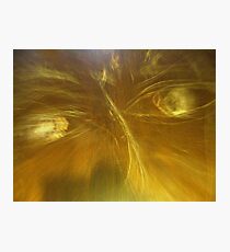 Mrs. Winchester's Guest Photographic Print