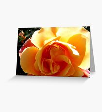 Beautiful in the sun Greeting Card