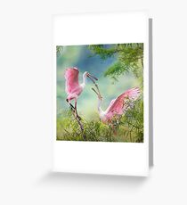 Roseate Spoonbill Juveniles Greeting Card