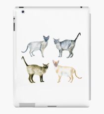 Vinilo o funda para iPad Gatos siameses