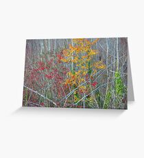 Autumnal Greeting Card