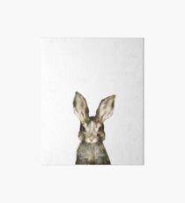 Little Rabbit Art Board