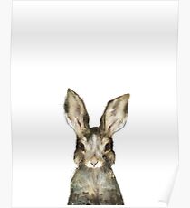 Little Rabbit Poster