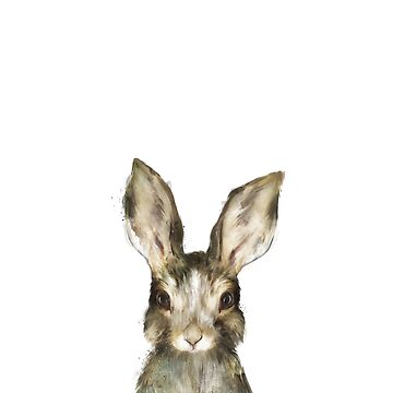 Artwork thumbnail, Little Rabbit by AmyHamilton