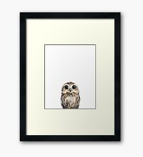 Little Owl Framed Print