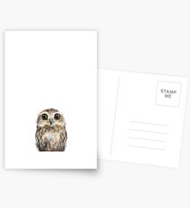 Little Owl Postcards