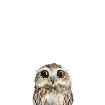 Artwork thumbnail, Little Owl by AmyHamilton