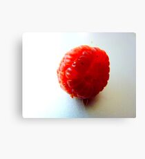 Highkey Raspberry Canvas Print