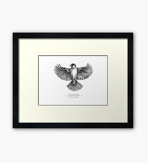 Sparrow Spreading Wings Framed Print