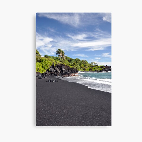 Lost in Paradise Canvas Print