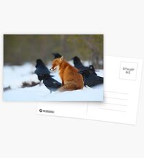 Moment mit Raben Postkarten