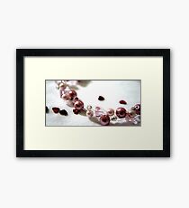Precious Jewels Framed Print