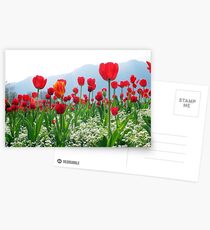 Rise Up Postcards