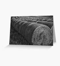 Lined up....... Greeting Card