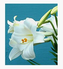 Pristine Photographic Print