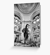 Natural History Museum - Washington DC Greeting Card