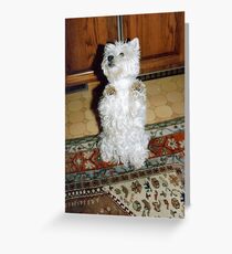 Please,Pretty Please. Greeting Card