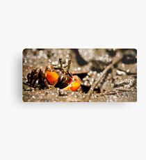 Camouflage? Metal Print