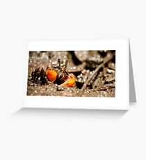 Camouflage? Greeting Card