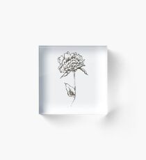 Blume Acrylblock