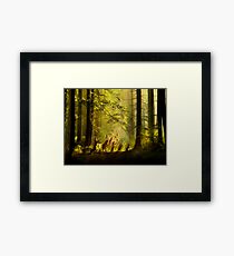 The Secret Parade II Framed Print