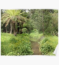 Monbulk Creek Poster